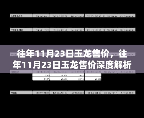 往年11月23日玉龙售价揭秘与深度解析