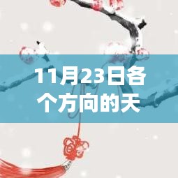 11月23日全国天气详解，气象万千的地域差异分析