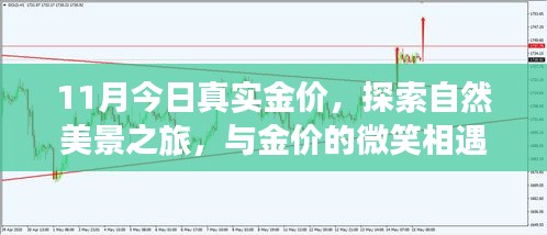 11月今日金价探索自然美景之旅，寻找内心宁静与微笑相遇之地