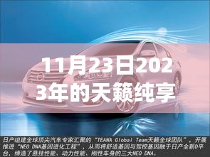 天籁纯享版，自然美景的心灵之旅（2023年11月23日）