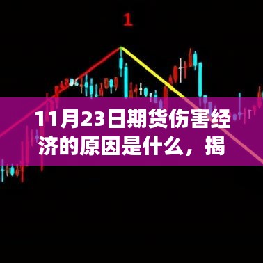 揭秘，11月23日期货市场如何伤害经济，真相与原因深度剖析。