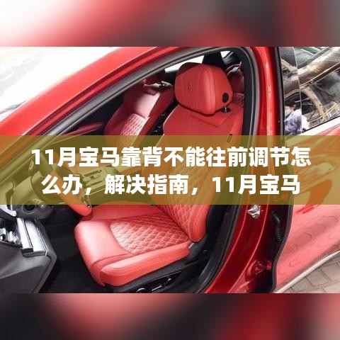 解决指南，11月宝马座椅靠背无法向前调节的困扰与解决方案