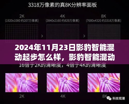 影豹智能混动起步操作指南，初学者与进阶用户适用（2024年11月23日版）