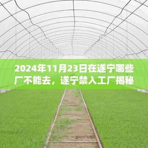 资格证书 第279页