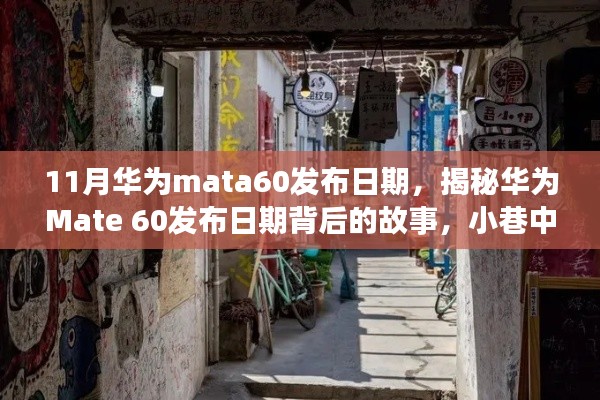 华为Mate 60发布日期揭秘，环境与美食的奇遇之旅背后的故事