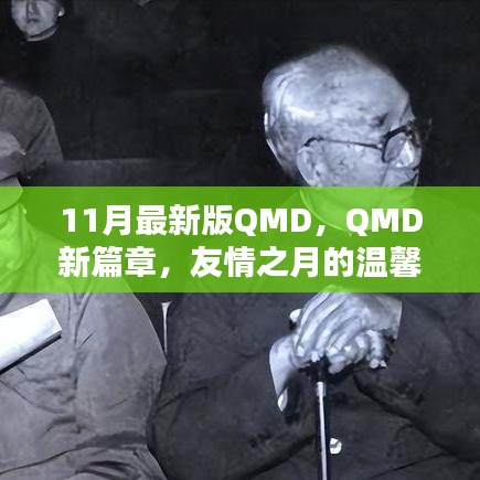 友情之月的温馨日常，QMD新篇章11月最新版揭秘