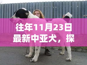 中亚犬舍探秘，隐秘乐园中的独特犬舍之旅