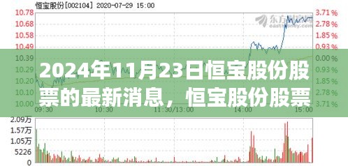 恒宝股份股票最新消息解析，聚焦机遇与挑战的2024年11月23日