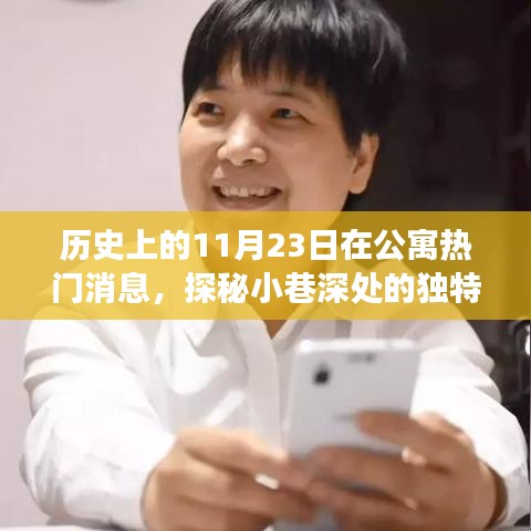 探秘公寓历史，11月23日闪耀瞬间与小巷深处的独特故事揭秘