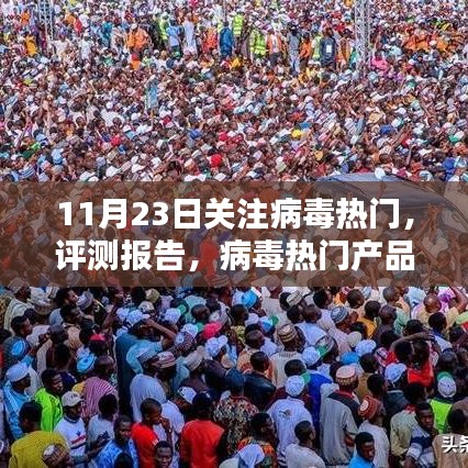 11月23日病毒热门关注，深度解析与评测报告