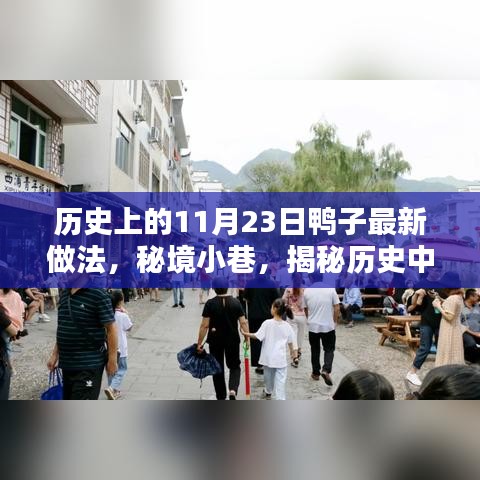 秘境小巷揭秘，历史中的鸭子新传奇——揭秘鸭子盛宴的诞生地，11月23日鸭子最新做法