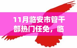 临安市管干部最新任免，学习变化，拥抱自信，开启无限可能！