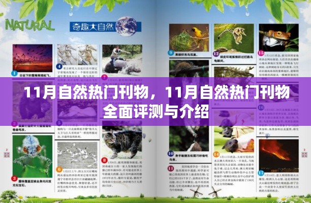 11月自然热门刊物全面评测与介绍，热门刊物一网打尽