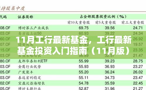 工行最新基金投资入门指南，11月版详解