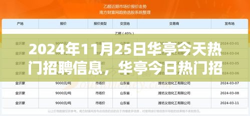 华亭热门招聘信息深度解析，特性、体验、竞品对比及用户群体分析