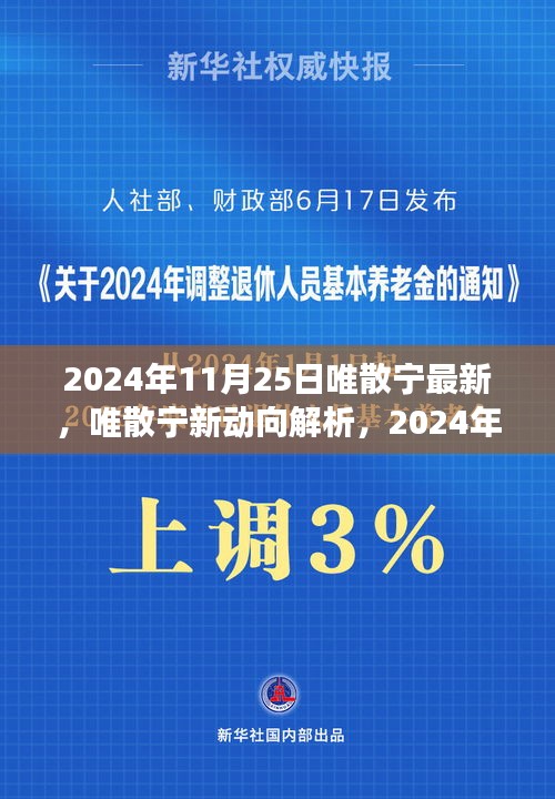 唯散宁最新动向解析与观点洞察（2024年11月25日）