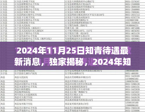 独家揭秘，深度解读2024年知青待遇最新动态与政策利好消息！