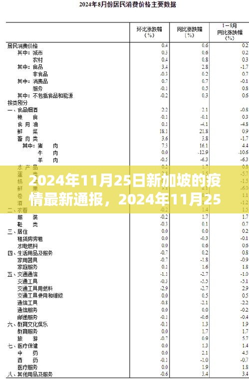 2024年11月25日新加坡疫情最新动态解析与通报