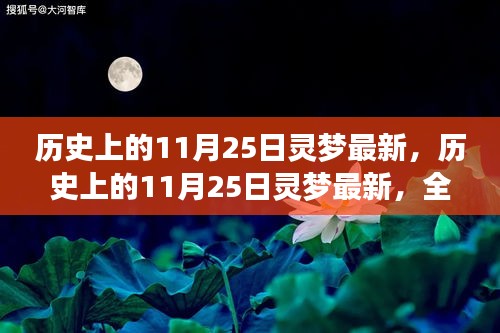 历史上的11月25日灵梦最新，全面评测与深度介绍