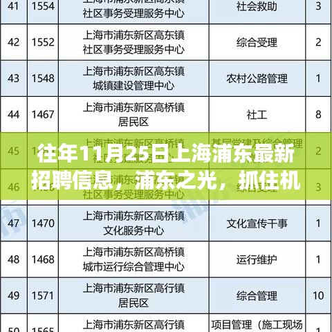 往年11月25日上海浦东最新招聘信息，启示浦东之光，把握机遇自信闪耀的成长之路