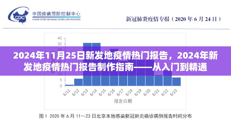 从入门到精通，2024年新发地疫情热门报告制作指南及疫情动态分析