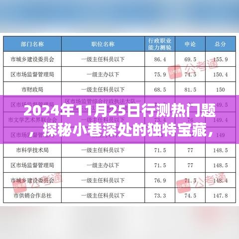 探秘隐藏小巷的独特宝藏，特色小店行测热门之旅（2024年11月25日）