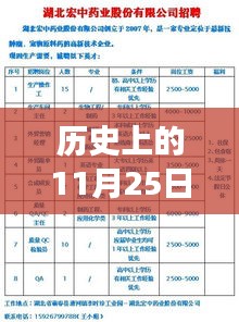 历史上的11月25日，虎门司机招聘信息的演变与个人观点解析