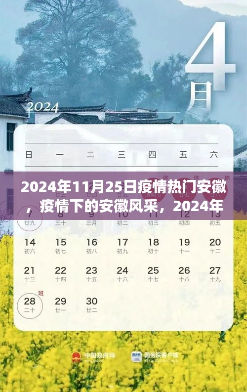 安徽疫情风采，2024年11月25日的观察与洞察