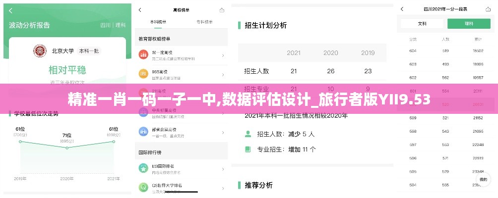 精准一肖一码一子一中,数据评估设计_旅行者版YII9.53