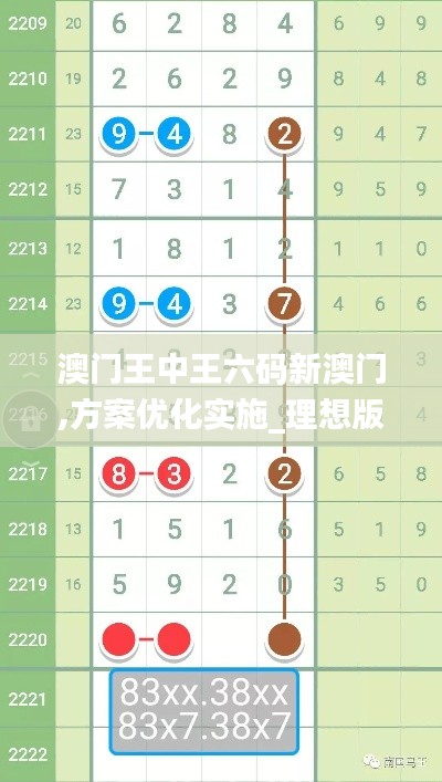 澳门王中王六码新澳门,方案优化实施_理想版TVP9.21