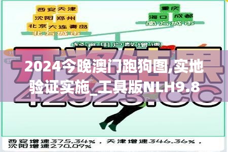 2024今晚澳门跑狗图,实地验证实施_工具版NLH9.81