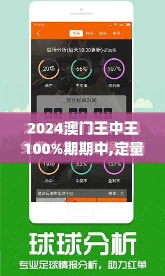 2024澳门王中王100%期期中,定量解析解释法_薪火相传版QER9.53