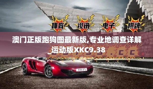 澳门正版跑狗图最新版,专业地调查详解_运动版XKC9.38