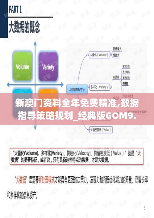 新澳门资料全年免费精准,数据指导策略规划_经典版GOM9.60