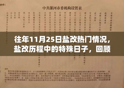 回顾盐业改革的里程碑事件，十一月二十五日的盐改历程与热门情况解析