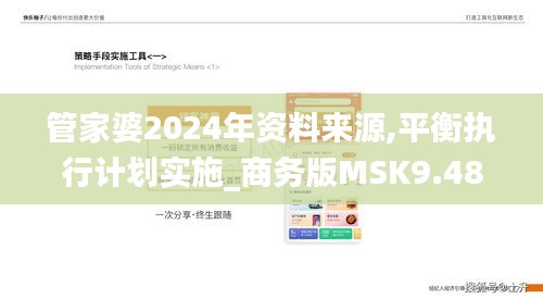 管家婆2024年资料来源,平衡执行计划实施_商务版MSK9.48