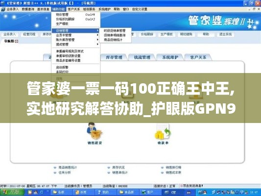 管家婆一票一码100正确王中王,实地研究解答协助_护眼版GPN9.95