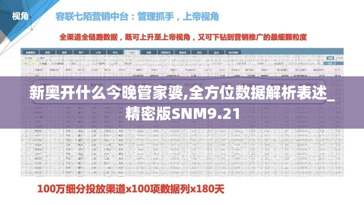 新奥开什么今晚管家婆,全方位数据解析表述_精密版SNM9.21