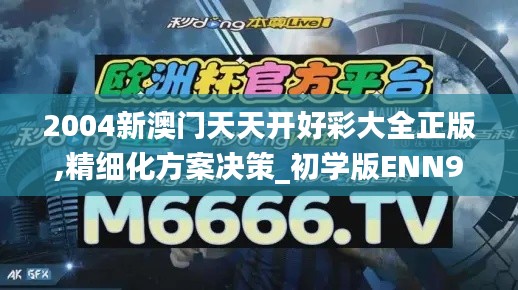 2004新澳门天天开好彩大全正版,精细化方案决策_初学版ENN9.42