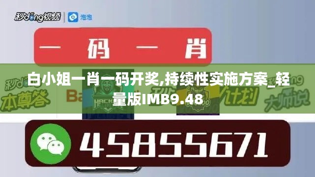 白小姐一肖一码开奖,持续性实施方案_轻量版IMB9.48