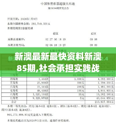 新澳最新最快资料新澳85期,社会承担实践战略_见证版YHY9.81