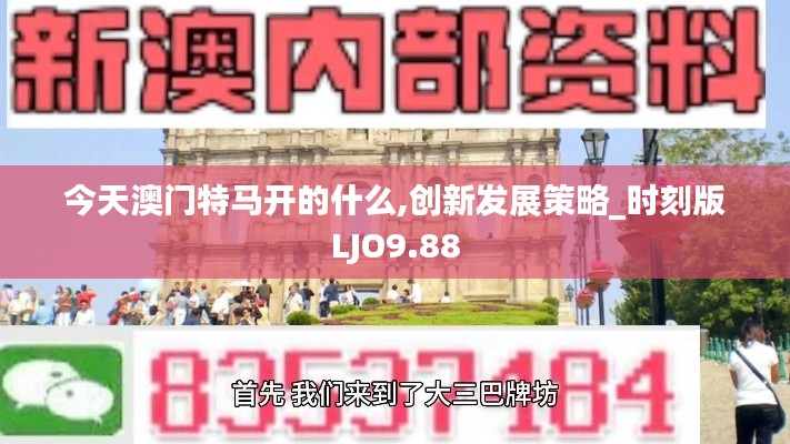 今天澳门特马开的什么,创新发展策略_时刻版LJO9.88