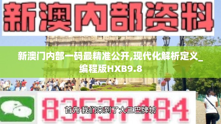 新澳门内部一码最精准公开,现代化解析定义_编程版HXB9.8