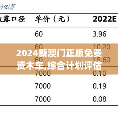 2024新澳门正版免费资木车,综合计划评估_硬核版RSU9.41