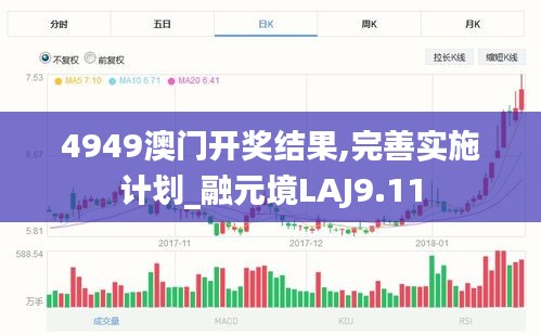 4949澳门开奖结果,完善实施计划_融元境LAJ9.11