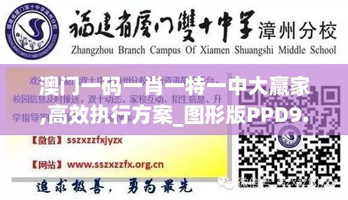 澳门一码一肖一特一中大羸家,高效执行方案_图形版PPD9.74