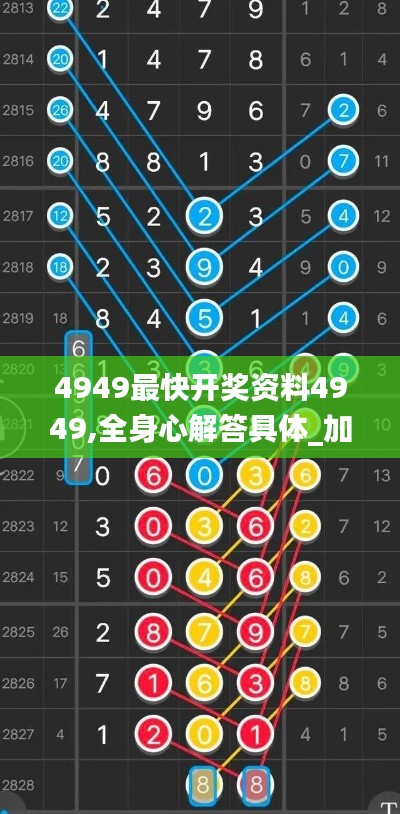 4949最快开奖资料4949,全身心解答具体_加速版BTI9.24