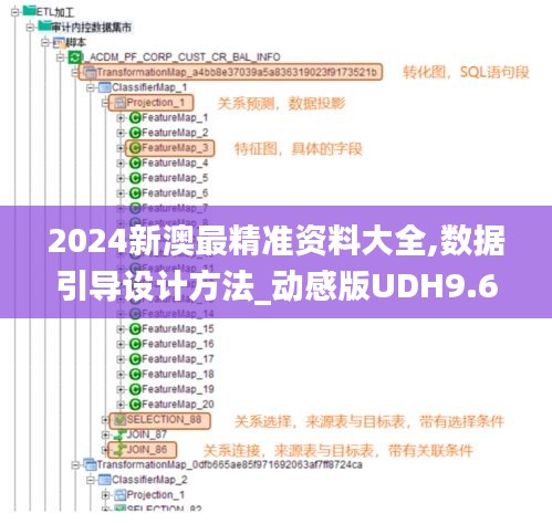 2024新澳最精准资料大全,数据引导设计方法_动感版UDH9.61