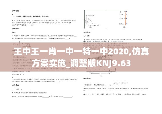 王中王一肖一中一特一中2020,仿真方案实施_调整版KNJ9.63