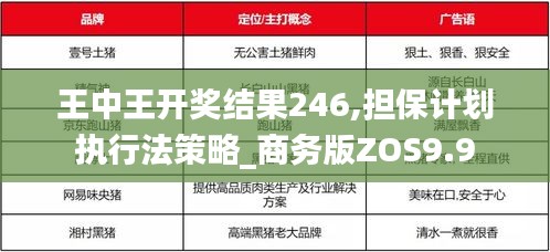 王中王开奖结果246,担保计划执行法策略_商务版ZOS9.9